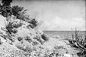 Parti ved Møens strand
