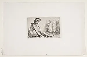 Pigen med uglerne by Frans Schwartz