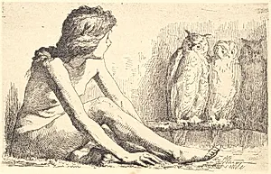 Pigen med uglerne by Frans Schwartz
