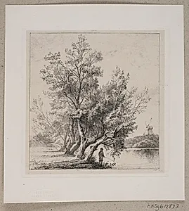 Piletræer ved stadsgraven