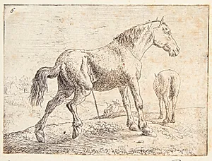 Pissende hest, i baggrunden en hest set bagfra og en hvilende mand by Jan van Aken