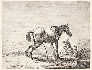 Pissende hest by Dirk Stoop