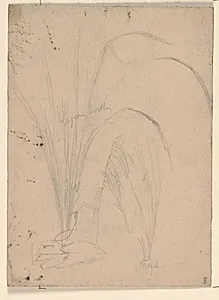 Plante by Niels Larsen Stevns