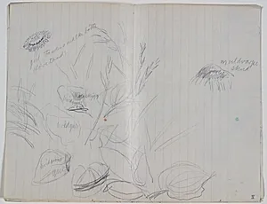 Planteskitser. Farveangivelser by Niels Larsen Stevns