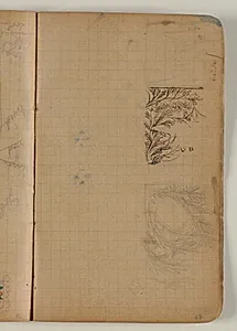 Planteskitser by Niels Larsen Stevns