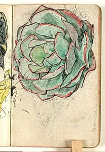 Plantestudie med farveangivelser by Niels Larsen Stevns