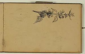 Plantestudie samt næsten udviskede figurer by Niels Larsen Stevns