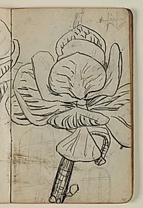 Plantestudie samt skitser af vinduer og figurer by Niels Larsen Stevns