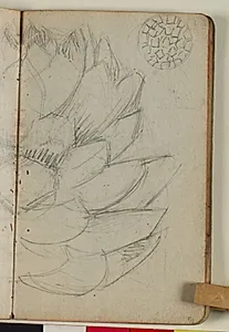 Plantestudie by Niels Larsen Stevns