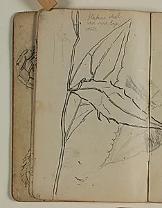 Plantestudie by Niels Larsen Stevns