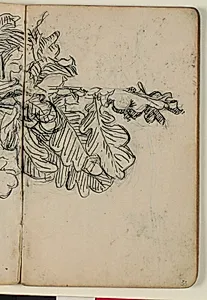 Plantestudie by Niels Larsen Stevns