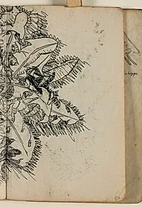 Plantestudie by Niels Larsen Stevns