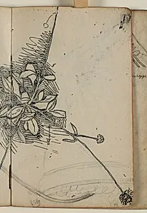 Plantestudie by Niels Larsen Stevns