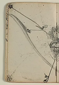 Plantestudie by Niels Larsen Stevns