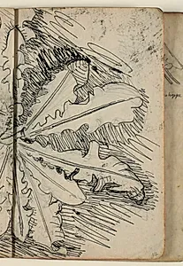 Plantestudie by Niels Larsen Stevns