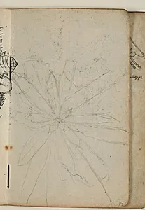 Plantestudie by Niels Larsen Stevns
