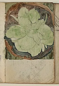 Plantestudie by Niels Larsen Stevns
