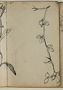 Plantestudie by Niels Larsen Stevns