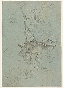 Plantestudie by Rachel Ruysch