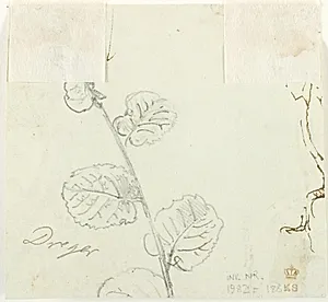 Plantestudie by Dankvart Dreyer