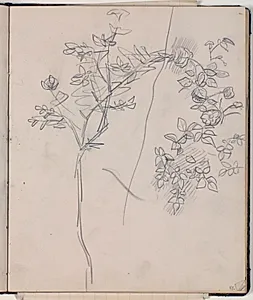 Plantestudie by Niels Larsen Stevns
