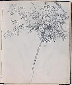Plantestudie by Niels Larsen Stevns