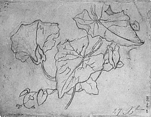 Plantestudie by Jean-Baptiste Carpeaux