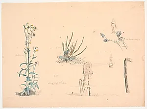 Plantestudier. En badehusbro og et skib by Christen Dalsgaard