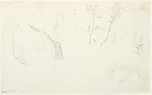 Plantestudier o.a. by Dankvart Dreyer