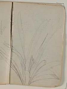 Plantestudier by Niels Larsen Stevns