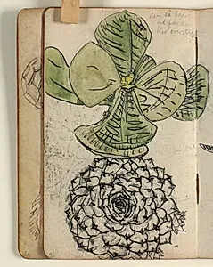 Plantestudier by Niels Larsen Stevns