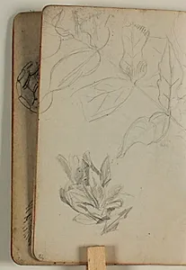 Plantestudier by Niels Larsen Stevns