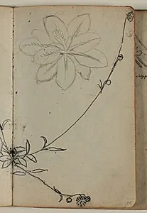Plantestudier by Niels Larsen Stevns
