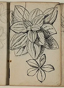 Plantestudier by Niels Larsen Stevns