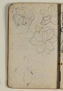 Plantestudier by Niels Larsen Stevns
