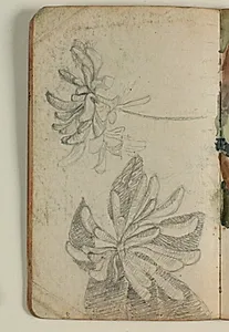 Plantestudier by Niels Larsen Stevns