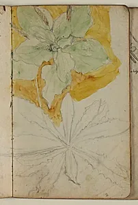 Plantestudier by Niels Larsen Stevns