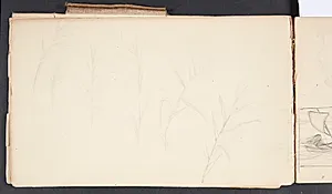 Plantestudier by Agnes Slott-Møller