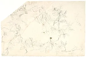Plantestudier by Dankvart Dreyer