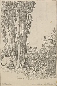 Popler og vilde vækster ved Hannau by C.W. Eckersberg