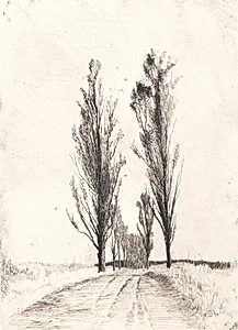 Poppelallé by Peter Ilsted