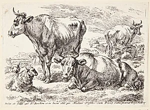 Portræt af et medlem af Out-familien. Cornelis Out (?) by Ubekendt