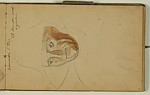 Portrætstudie by Niels Larsen Stevns