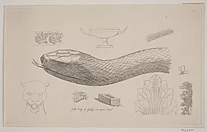 Prøveblad med slangehoved
