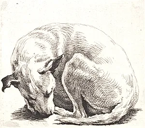 Prøveplade: En hund by Frans Schwartz