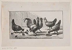 Prøvetryk til Chr. Winthers A.B.C. by H.P. Hansen