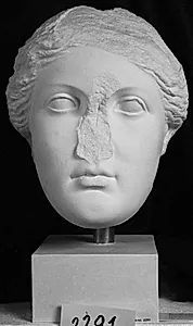 Ptolemæisk dronning, Berenike II (246-222/1 f.Kr.)? by Ubekendt