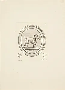 Puddel by Madame de Pompadour