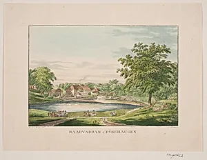 Rådvaddam i Dyrehaven by Jens Holm
