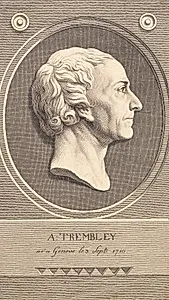 Reliefmedaillon med portræt af zoologen Abraham Trembley by J.F. Clemens